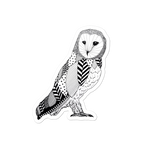 Owl Original - Sticker